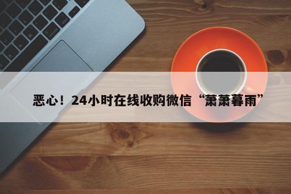  恶心！24小时在线收购微信“萧萧暮雨”