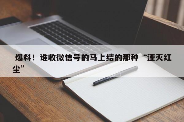  爆料！谁收微信号的马上结的那种“湮灭红尘”