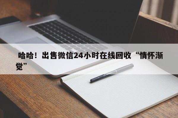  哈哈！出售微信24小时在线回收“情怀渐觉”