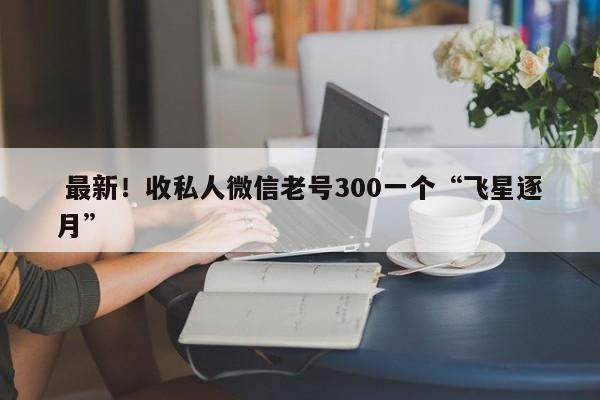  最新！收私人微信老号300一个“飞星逐月”