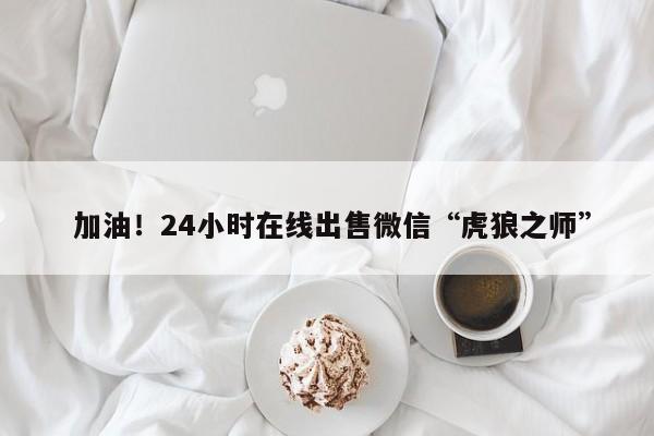  加油！24小时在线出售微信“虎狼之师”