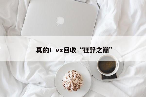  真的！vx回收“狂野之巅”